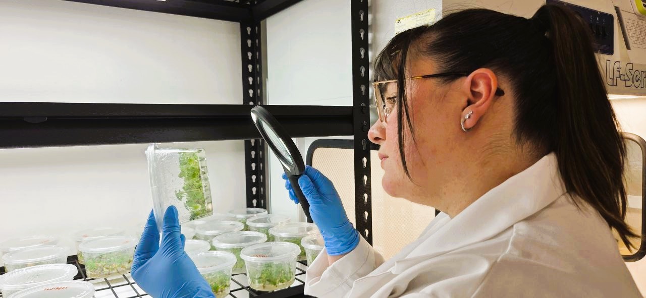 Research Lab Instruments